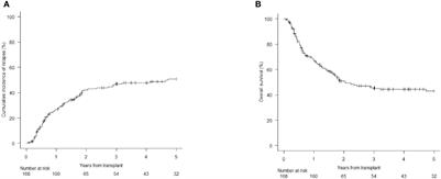 Bone marrow CD34+ molecular chimerism as an early predictor of relapse after allogeneic stem cell transplantation in patients with acute myeloid leukemia